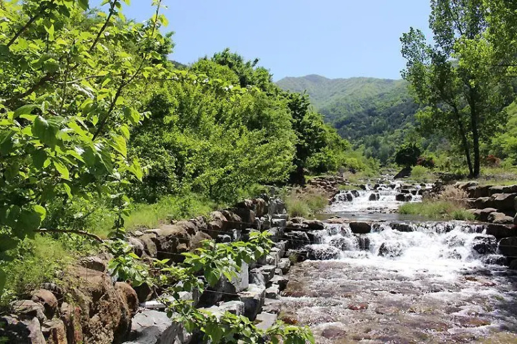 hadong sansaesori pensyeon