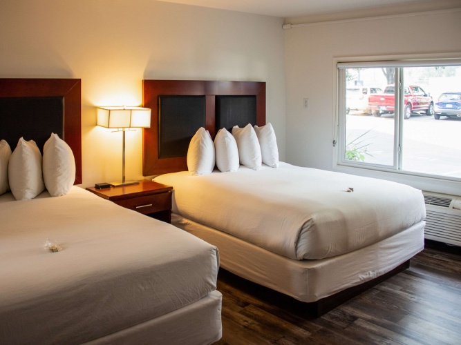 Standard Quadruple room