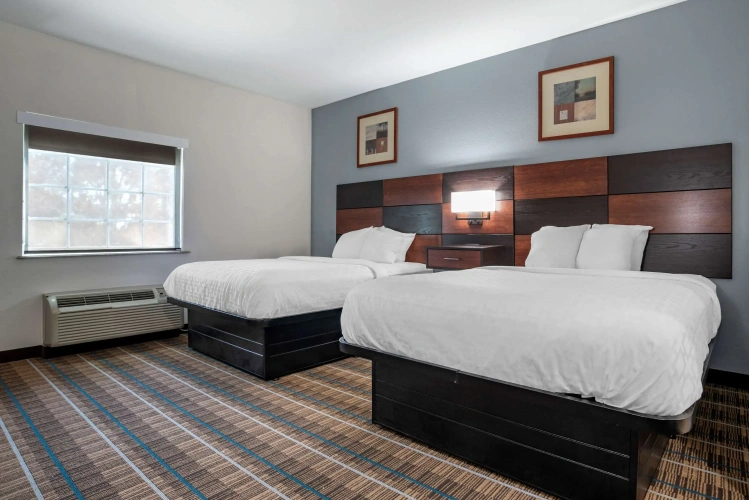 Quadruple Suite