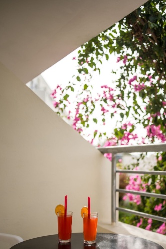 Standard Double room with balcony and with view