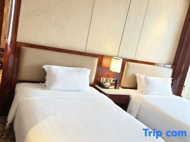 Executive Twin room