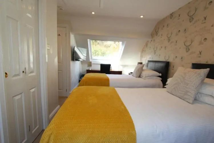 Standard Double room with mountain view