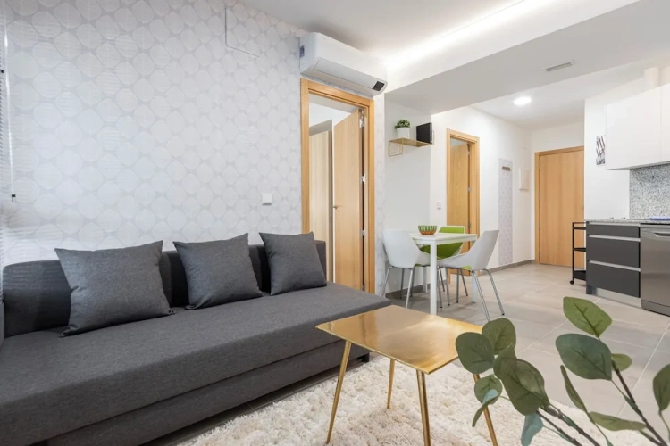 1 Bedroom Apartment