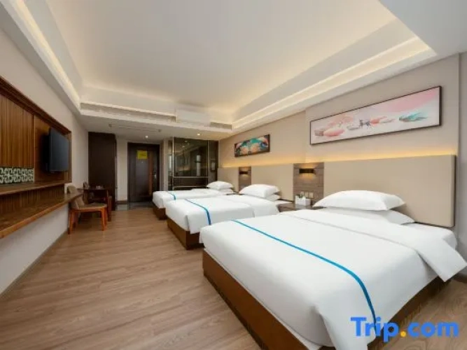 Standard Double room with city view