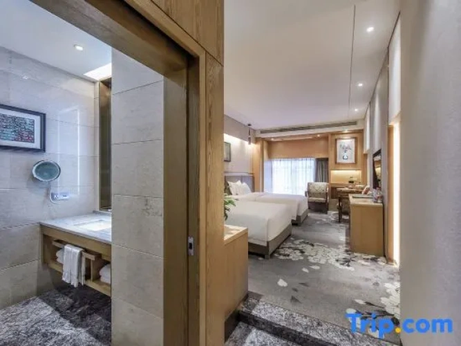 Standard Twin room with city view