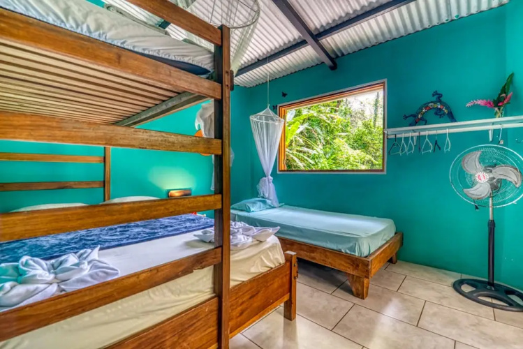 Green Jungle House
