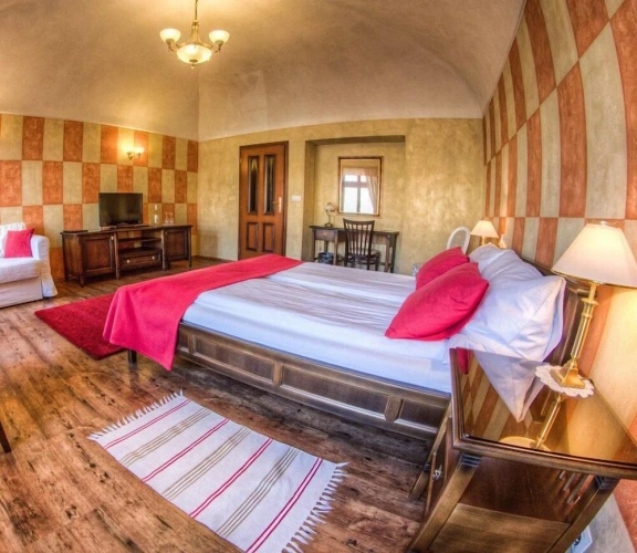1 Bedroom Executive room with city view