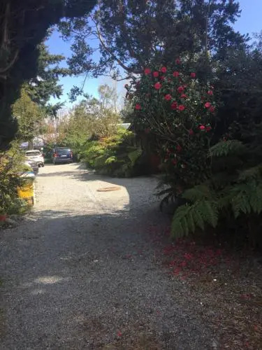 Silvestre Cabanas
