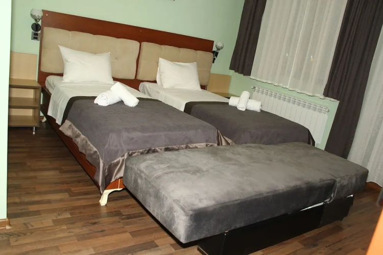 Standard Twin room with mountain view