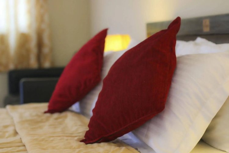 Hotel Goodwill Pvt. Ltd.