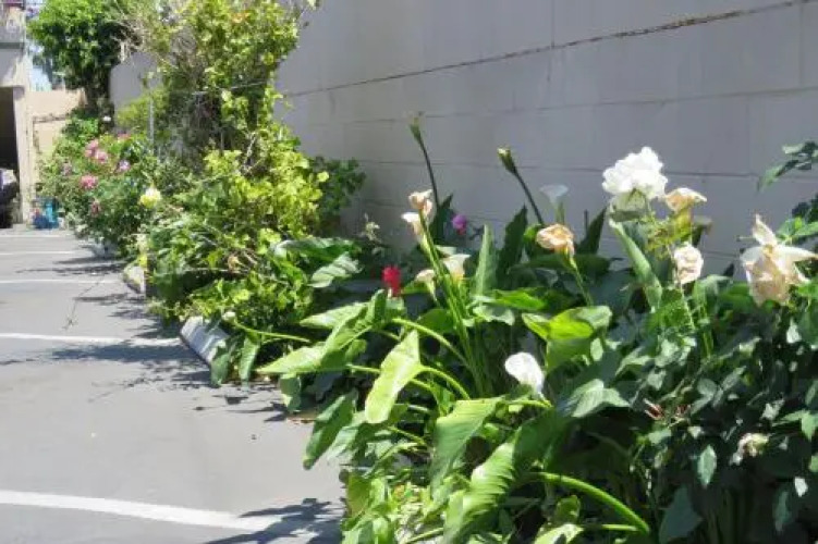 Foxys Den Motel - Image 7