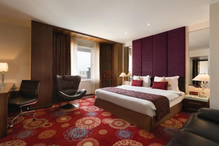 Executive Double Suite