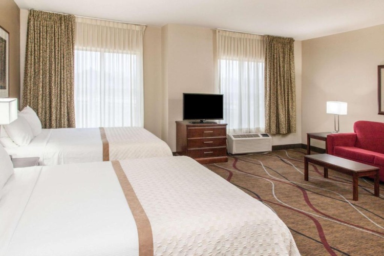 1 Bedroom Double Suite