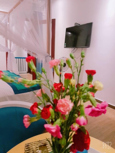 Standard Single room with city view