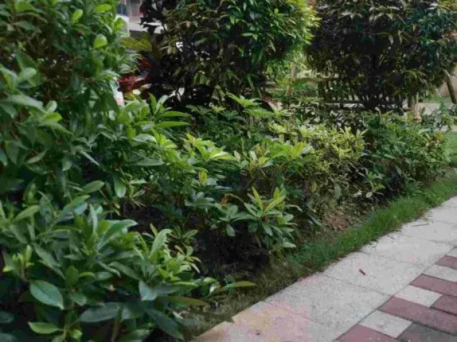 Weifudun Holiday Apartment (Hailing Island Poly Silver Beach)