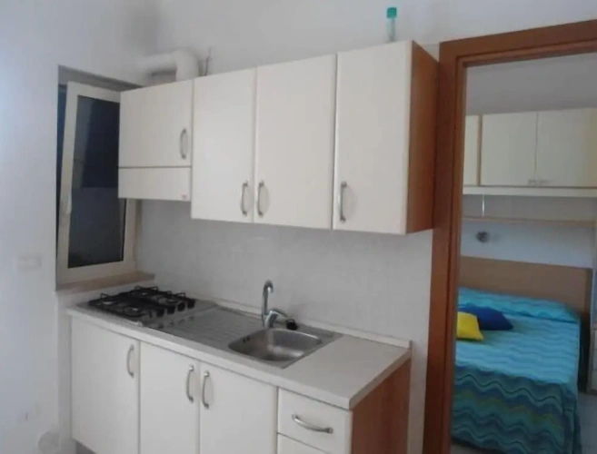 1 Bedroom Standard Apartment