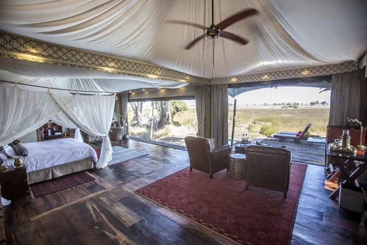 Duba Plains Camp