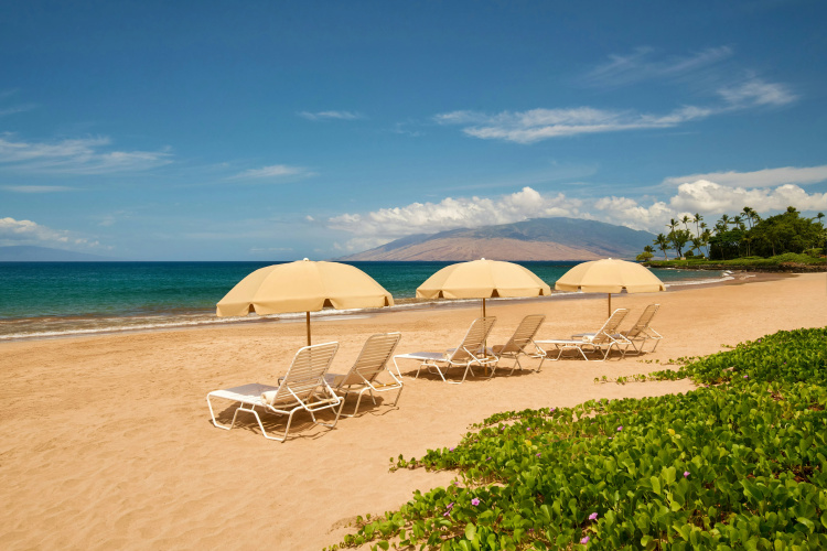Grand Wailea, A Waldorf Astoria Resort photo 31