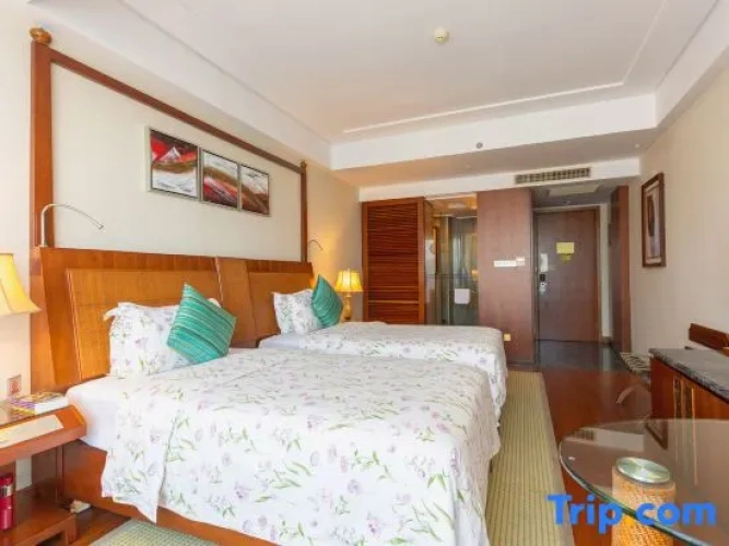 Standard Twin room with city view