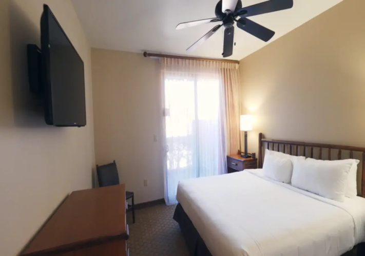 1 Bedroom Suite