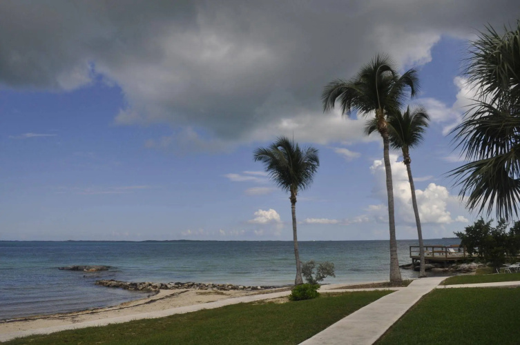 Hammock Heaven by Living Easy Abaco