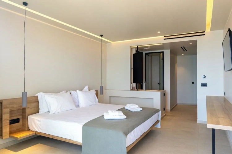 Deluxe Double room with balcony and beachfront