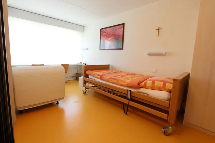 1 Bedroom Classic Single room with park view
