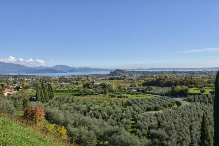 B&B Nonna Cecilia