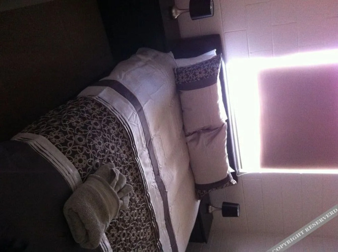 Silver City CottagesOver view