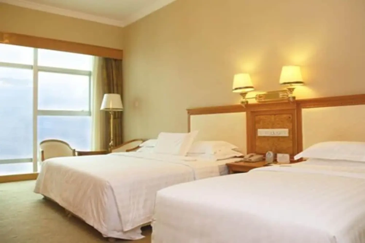 Superior Twin room with mountain view