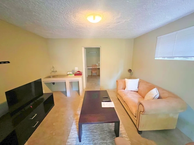 Deluxe Basement Suite