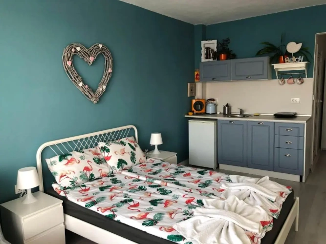 1 Bedroom Apartment