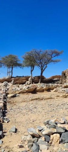 بيت الراحة Rest House