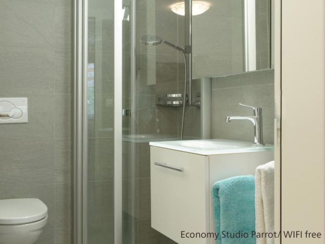 Economy Double Studio