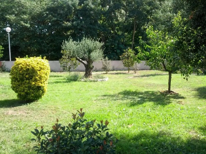 Cottage