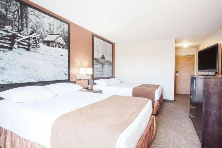 Standard Quadruple room