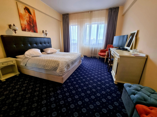 Hotel Coandi