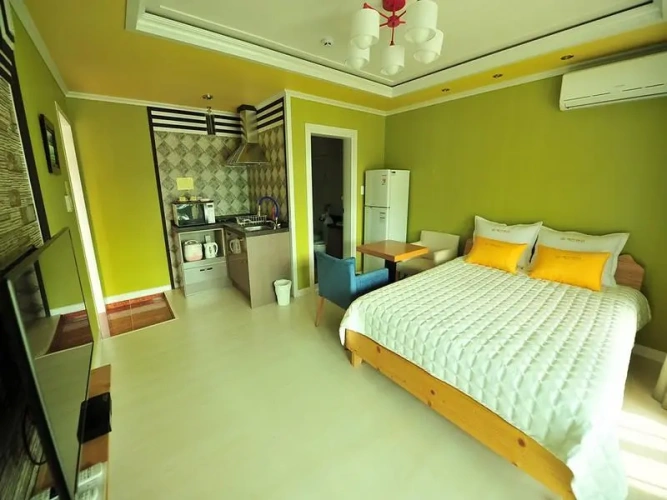 1 Bedroom Apartment