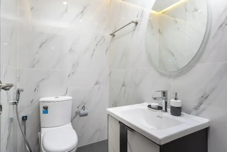 Luxury Apartment