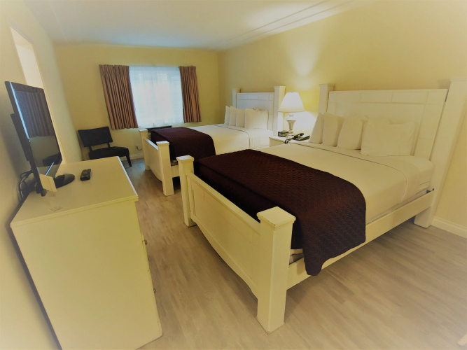 Hollywood Celebrity Hotel