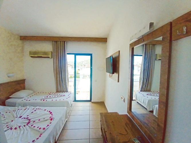 Standard Double room with balcony and with view