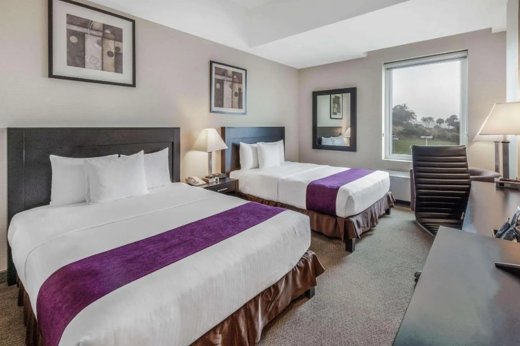 Executive Quadruple room