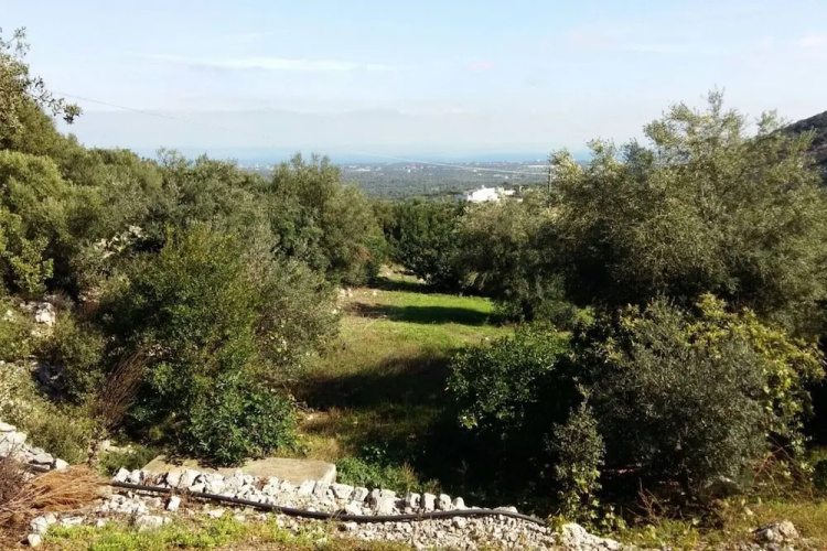 Il Bianco Trullo