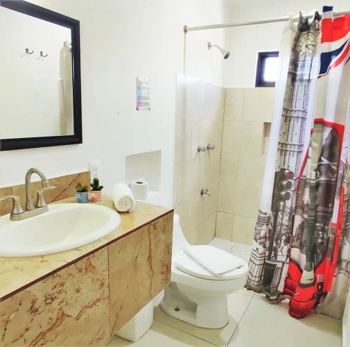 1 Bedroom Comfort Apartment