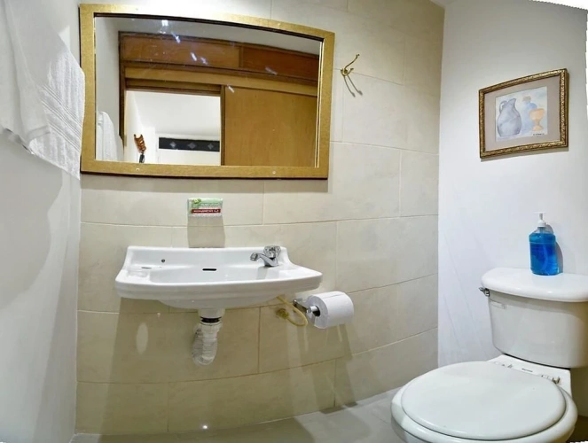 1 Bedroom Standard Apartment with mountain view