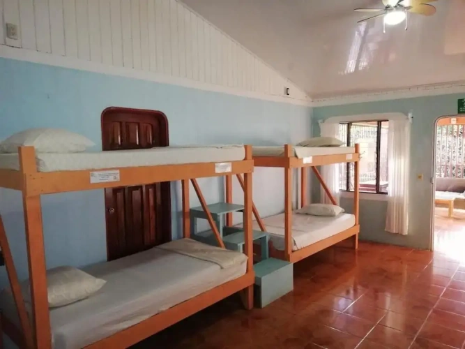 Bed in Dorm