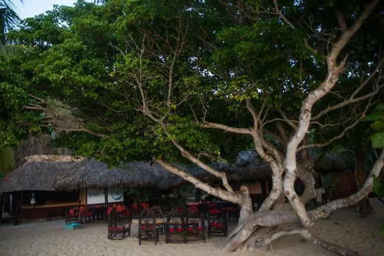 Casa Iván