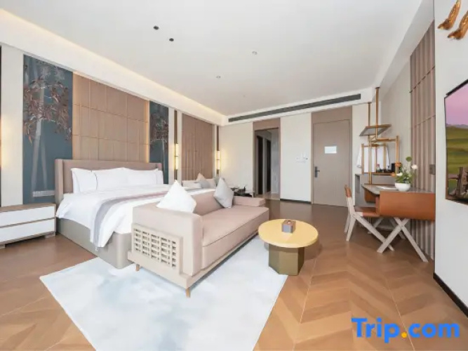 Superior Double room with city view