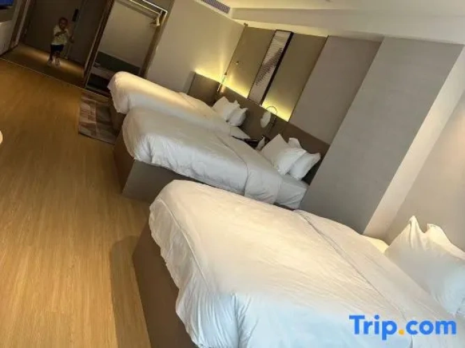 Twin Family Suite