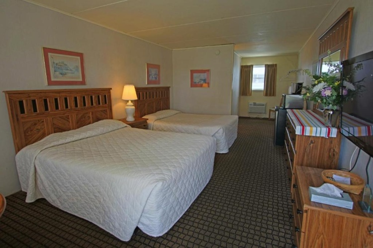 Standard Double room with ocean view